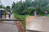 Kundapur: Miraculous escape for school bus as huge tree falls on road